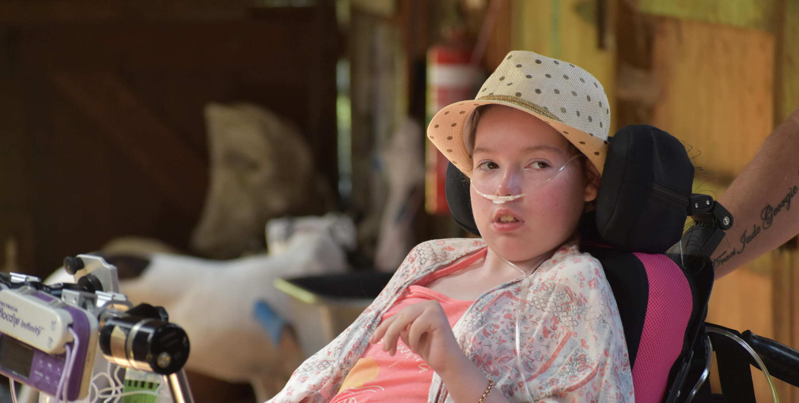 Internal Masthead Image