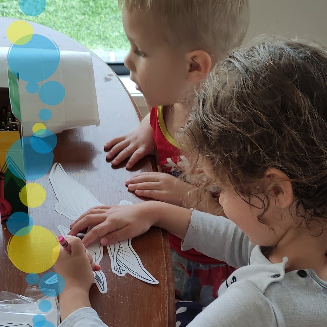 Testimonial Carousel Image 2