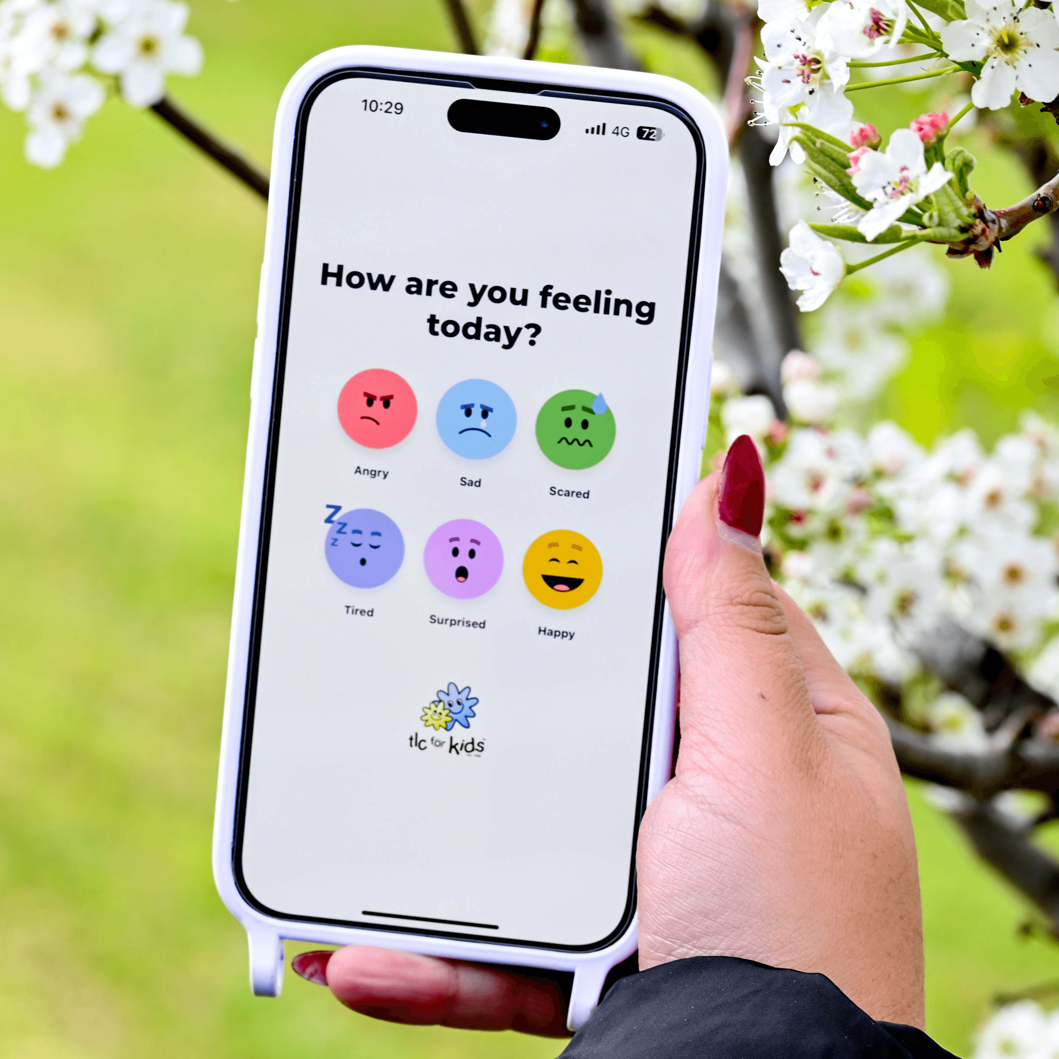 Internal Masthead Image